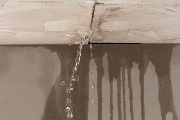 Professional Water Damage Repair technician working in Bandera, TX